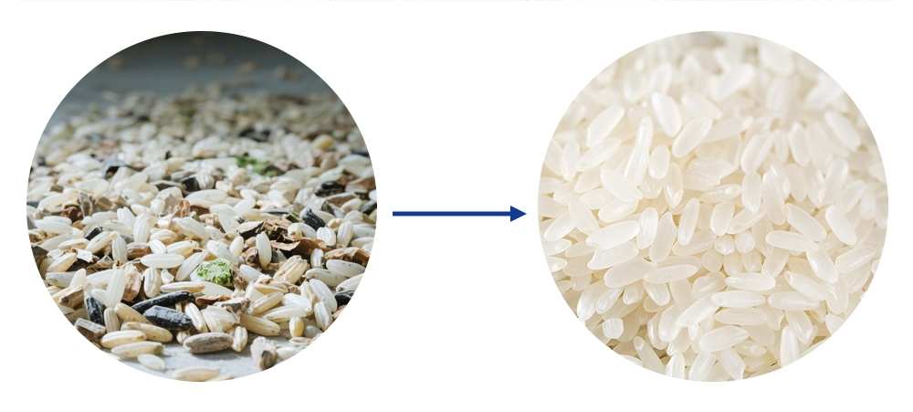 Comment les trieuses optiques de riz améliorent la qualité du riz et réduisent le gaspillage diannaosexuanji 16