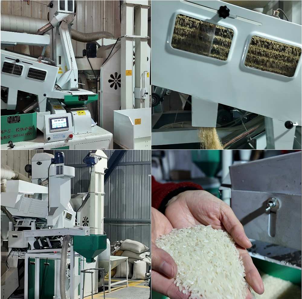 modern rice milling
